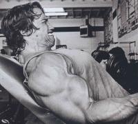 Arnold Schwarzenegger'in Kas Geliştirme Egzersizleri - Şampiyonun Yolu